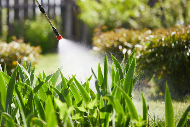 24/7 Emergency Mosquito Control experts in Mayfield Heights, OH